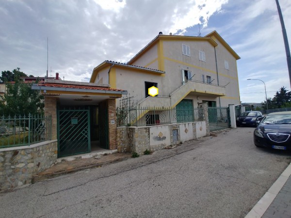 Dettaglio ingrandito